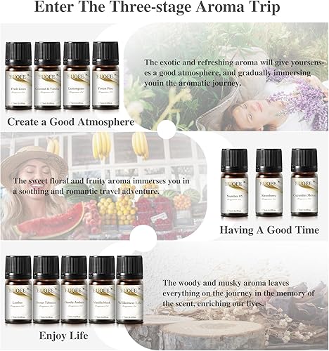 Miniatura 3 de Juego de 12 aceites aromáticos de regalo, juego de aceites esenciales de primera calidad para difusor, velas, fabricación de jabón, viajes, con