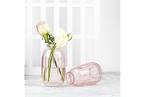 Small Pink Vase, Minimalist Style