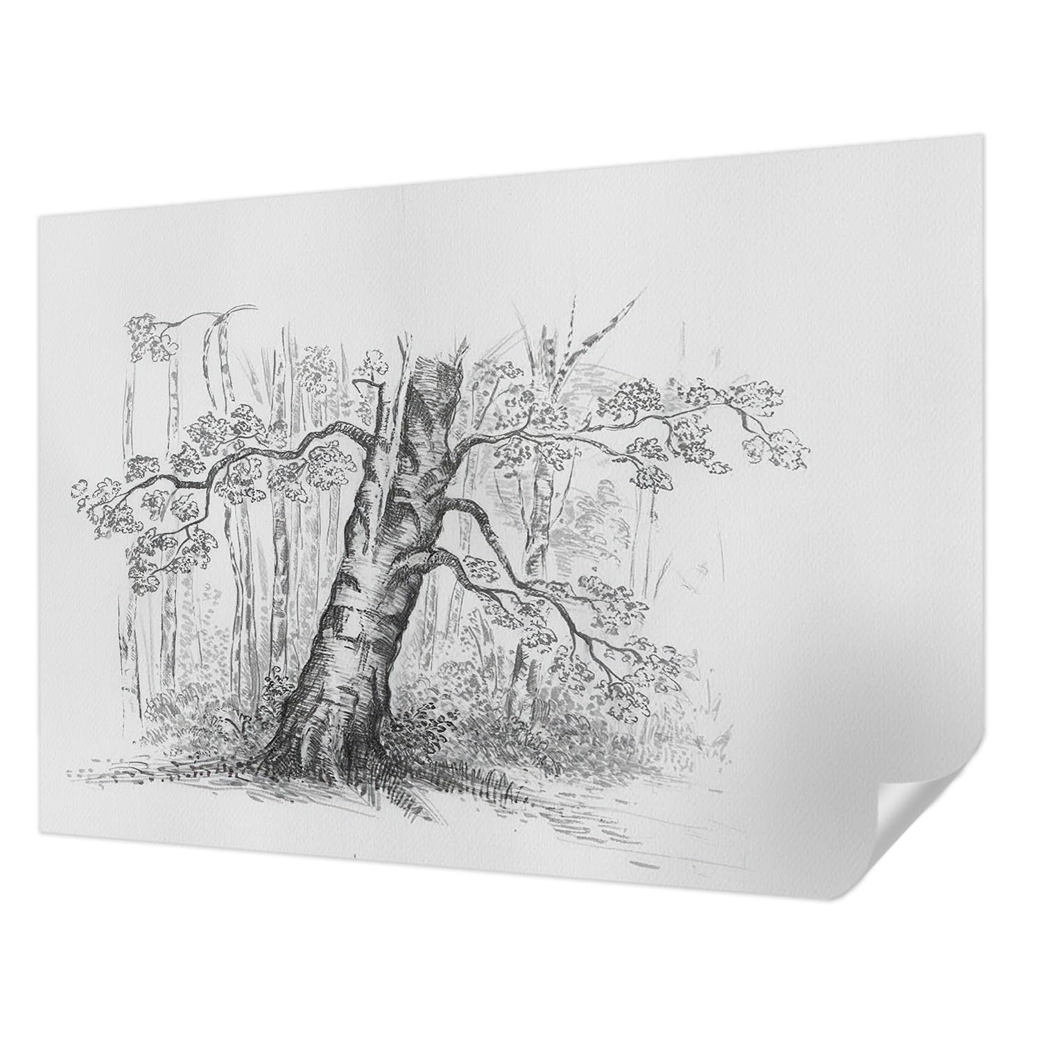 Décoration intérieure haute qualité Tulup avec grand adhésif arbre forestier
