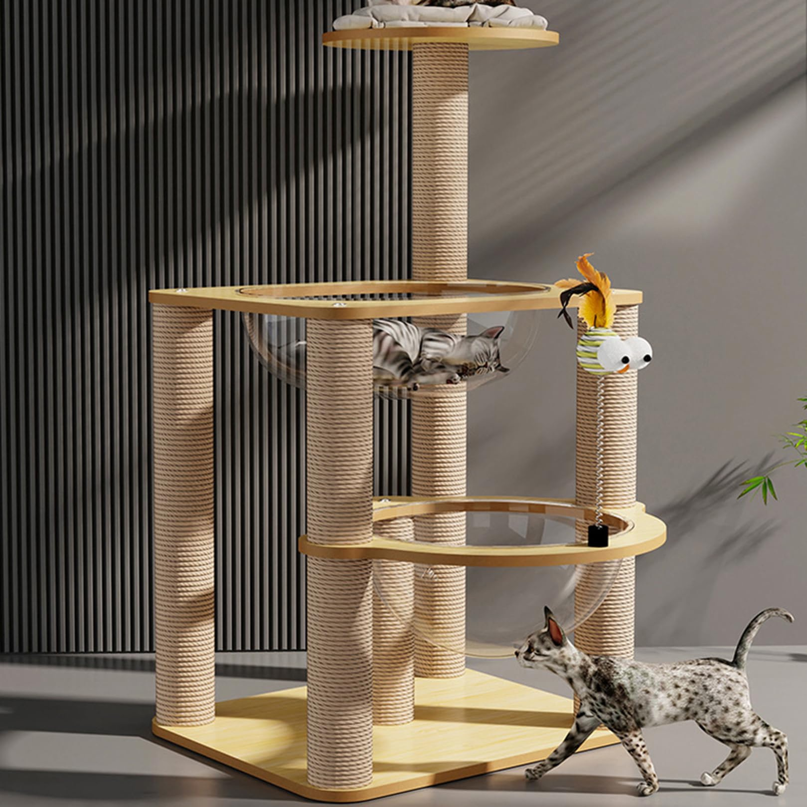 Amazon | クリアボウル キャットタワー 宇宙船 短足猫 滑り止め シニア