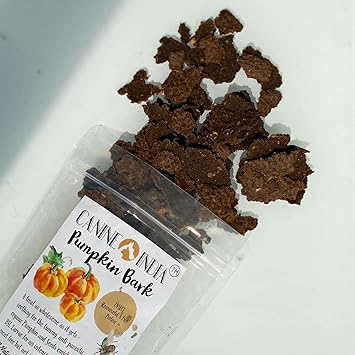 Canine India Natural Food for Cat - Pumpkin bark + Insects