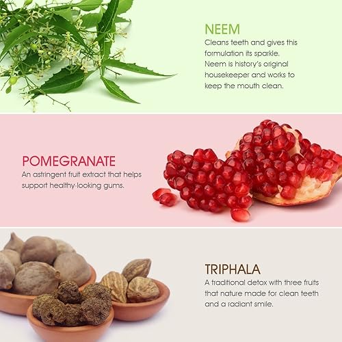 Miniatura 3 de Himalaya Botanique Complete Care Pasta de dientes, menta y canela, pasta de dientes sin flúor para dientes limpios y aliento fresco, vegano, sin