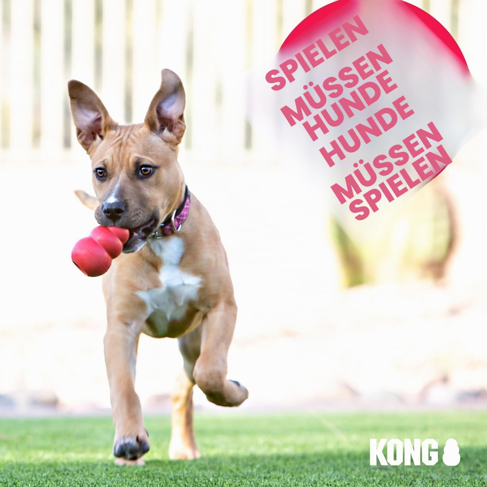 KONG Extreme Goodie Bone - Langlebiger Hundeknochen aus Naturkautschuk für Hunde mit starkem Biss - Für Große Hunde - Schwarz
