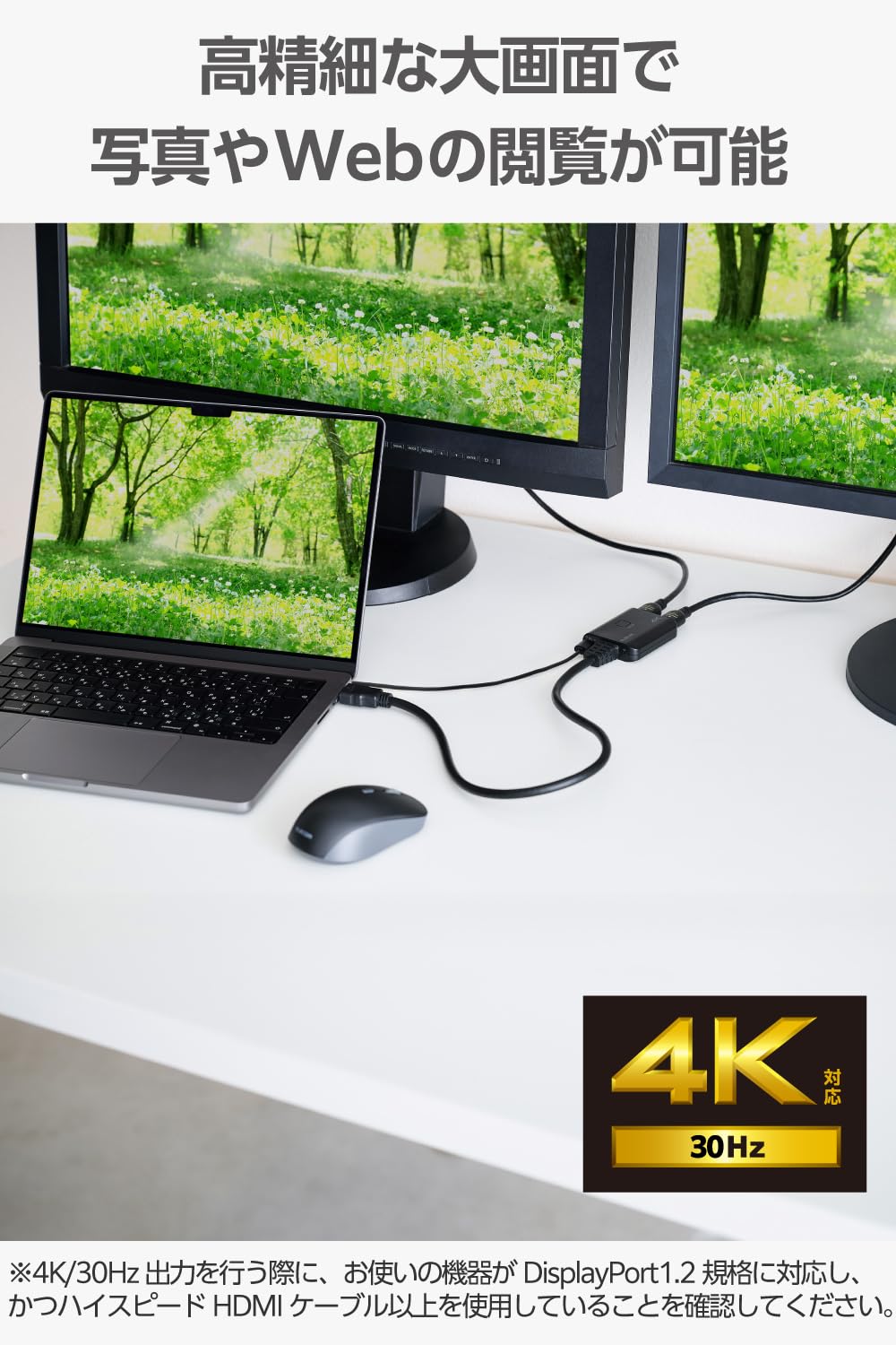 Amazon.co.jp: エレコム HDMI 分配器 4K/30Hz 1入力2出力 同時出力