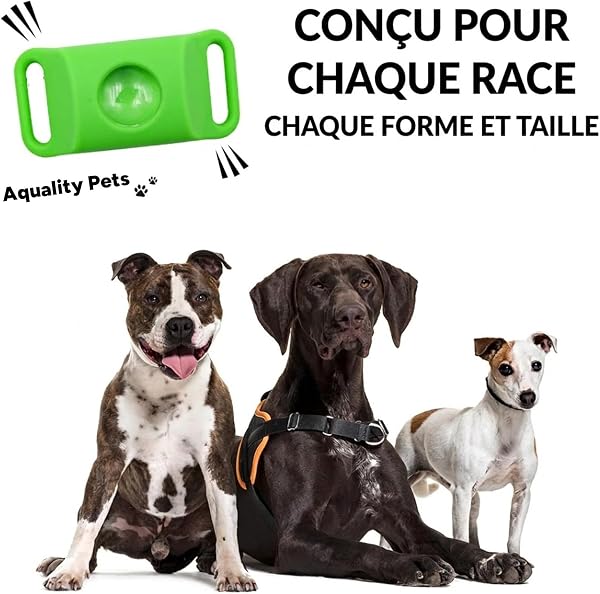 AqualityPets Collier Antiparasitaire Chien Naturel, Protège Contre Puces, Tiques et Phlébotomes, Protection 12 Mois – Résistant à l’Eau, Taille Unique, 100% sans Produits Chimiques (Vert) - 3