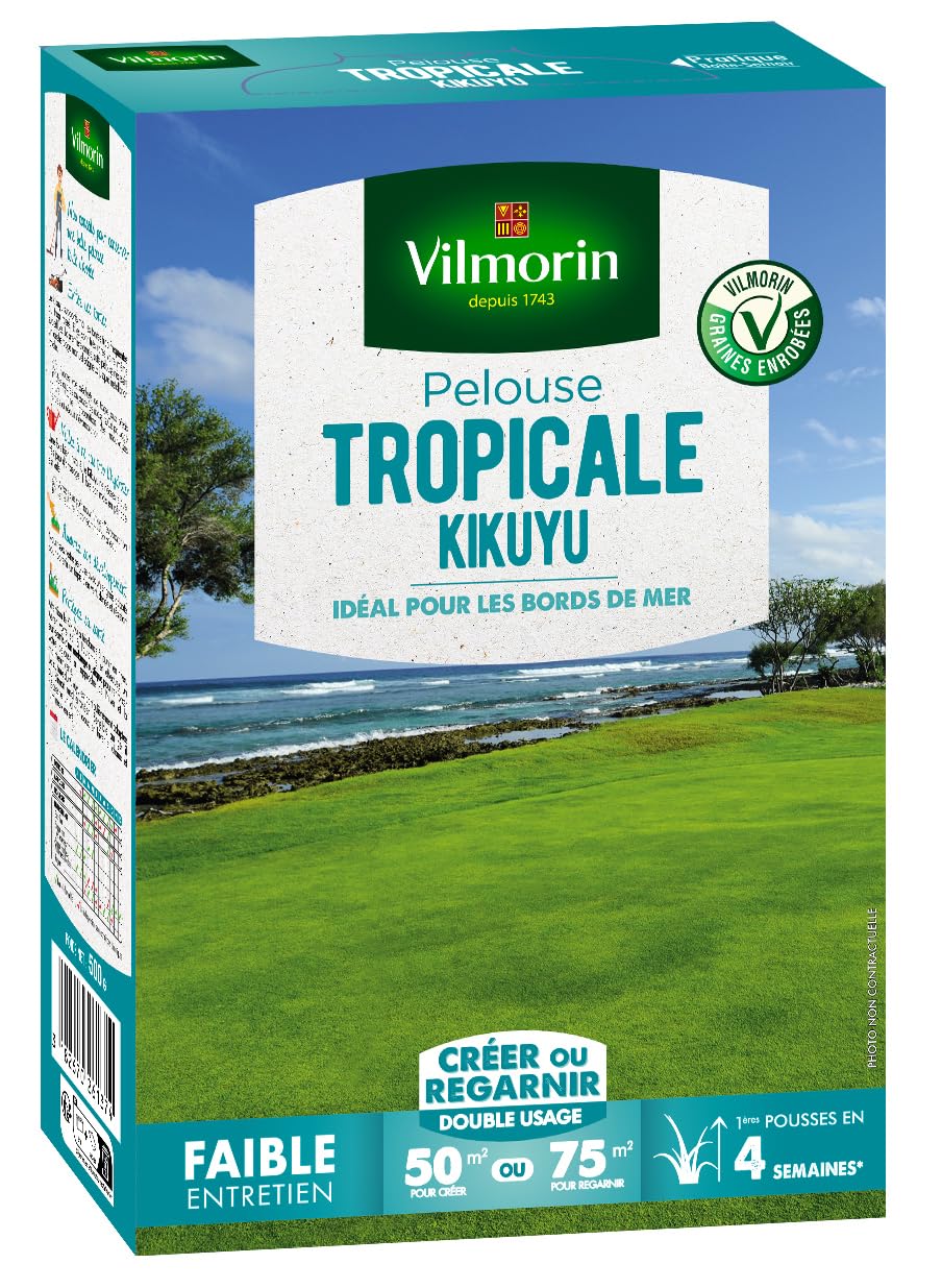 Vilmorin 4344512 - Césped Tropical Kikuyu, verde, 500 g