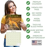 Vista 921 de Razas de Perros 2017