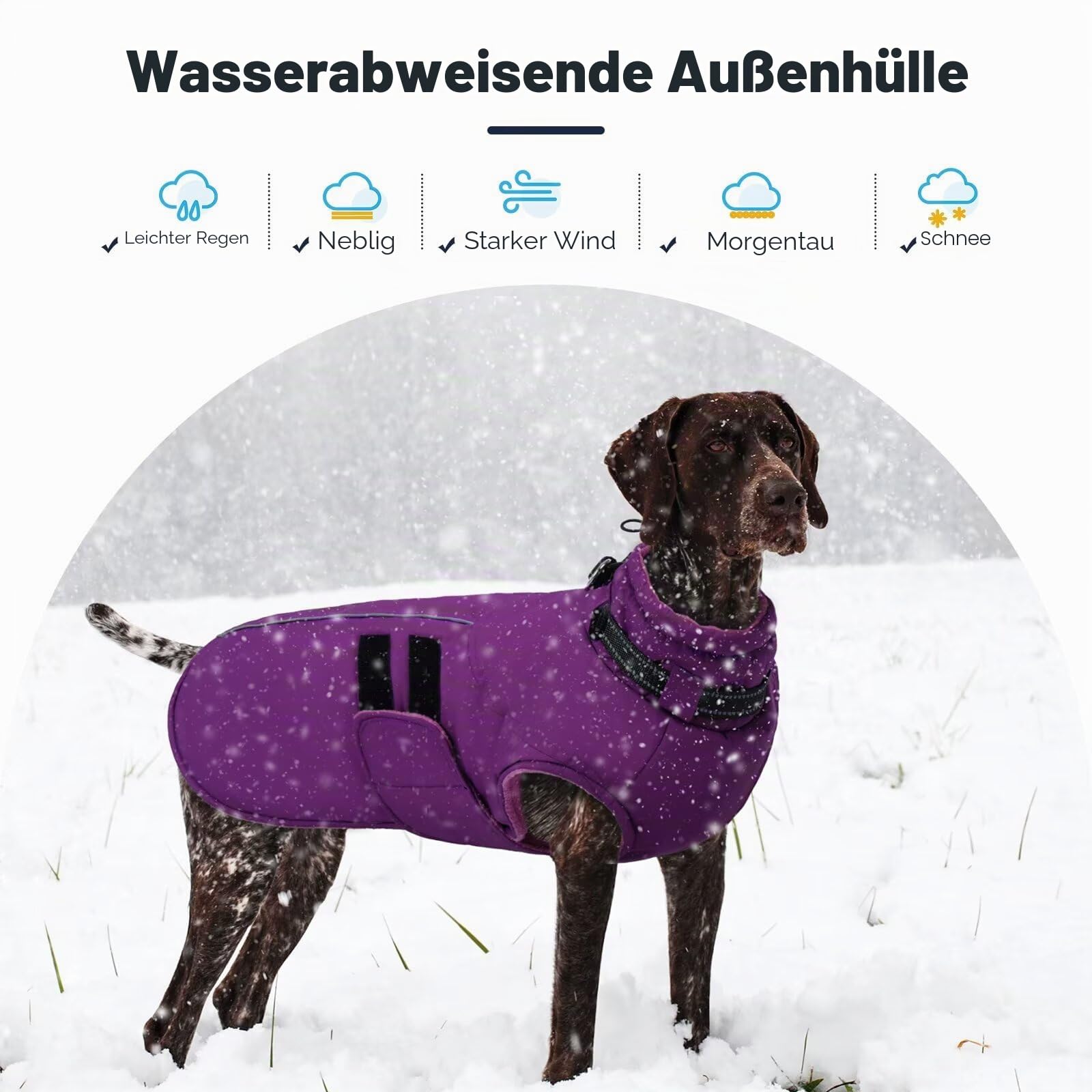 IECOii Winterjacken & Wintermäntel Für Hunde,Warme Hundejacke Winter,Wasserdichter Hundemantel,Verstellbarer Hundemantel Winter,Reflektierende Hundejacke Wasserdicht,Gürtel WinterHundemantel,Lila,5XL