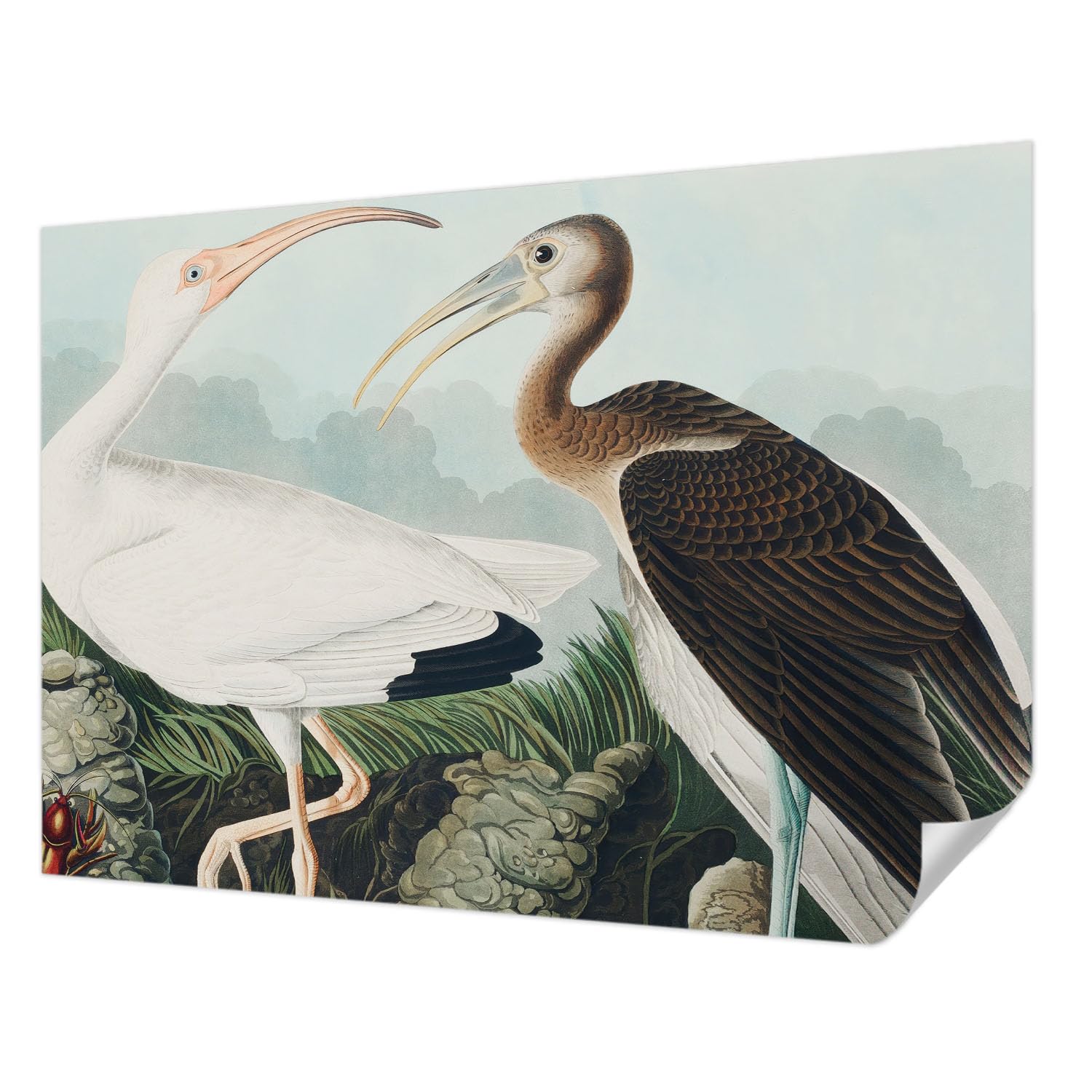 Papier peint panoramique oiseaux pour une ambiance salon nature et cosy