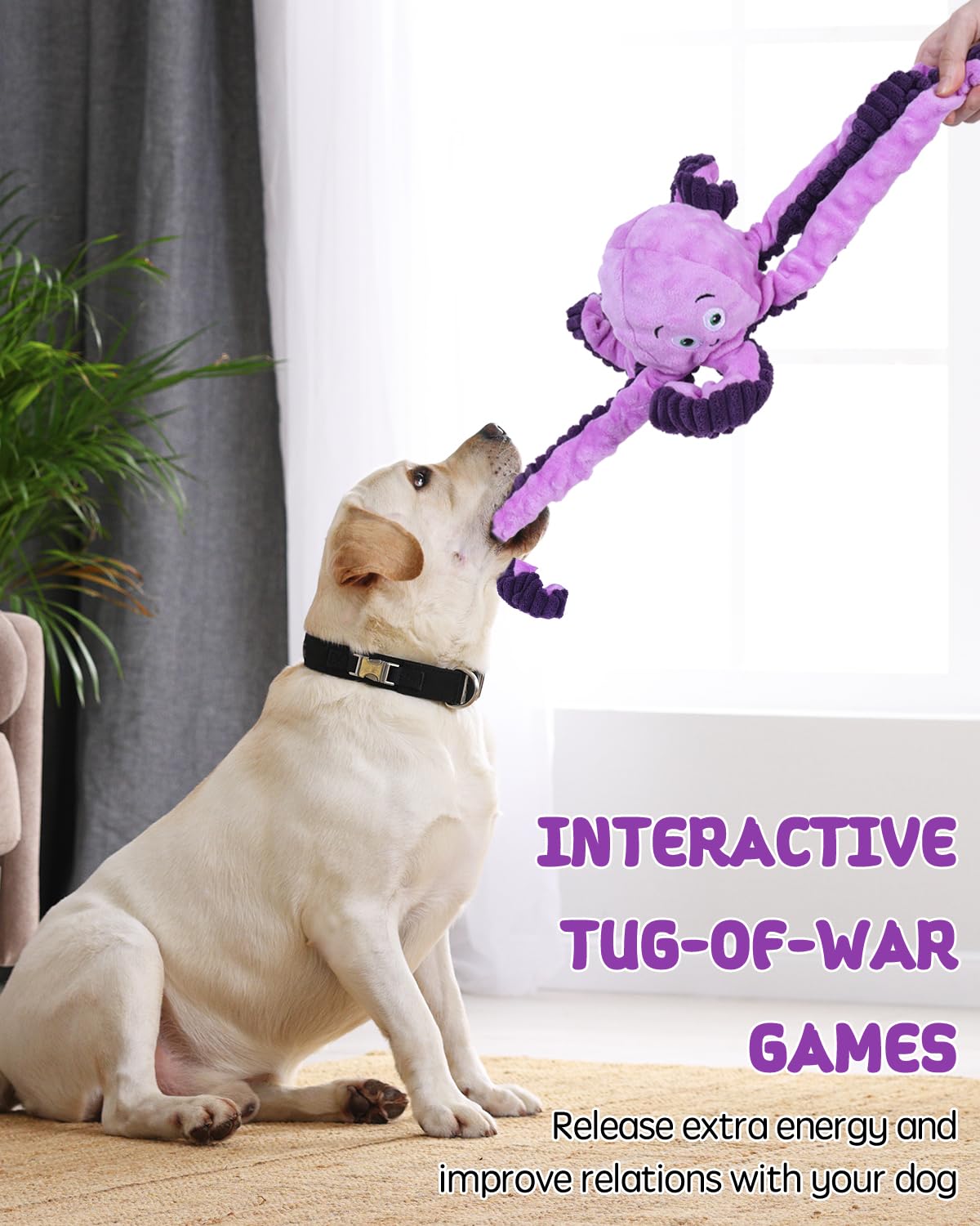 Juguetes chirriantes para perros, juguetes chirriantes de peluche suave para perros pequeños, medianos y grandes
