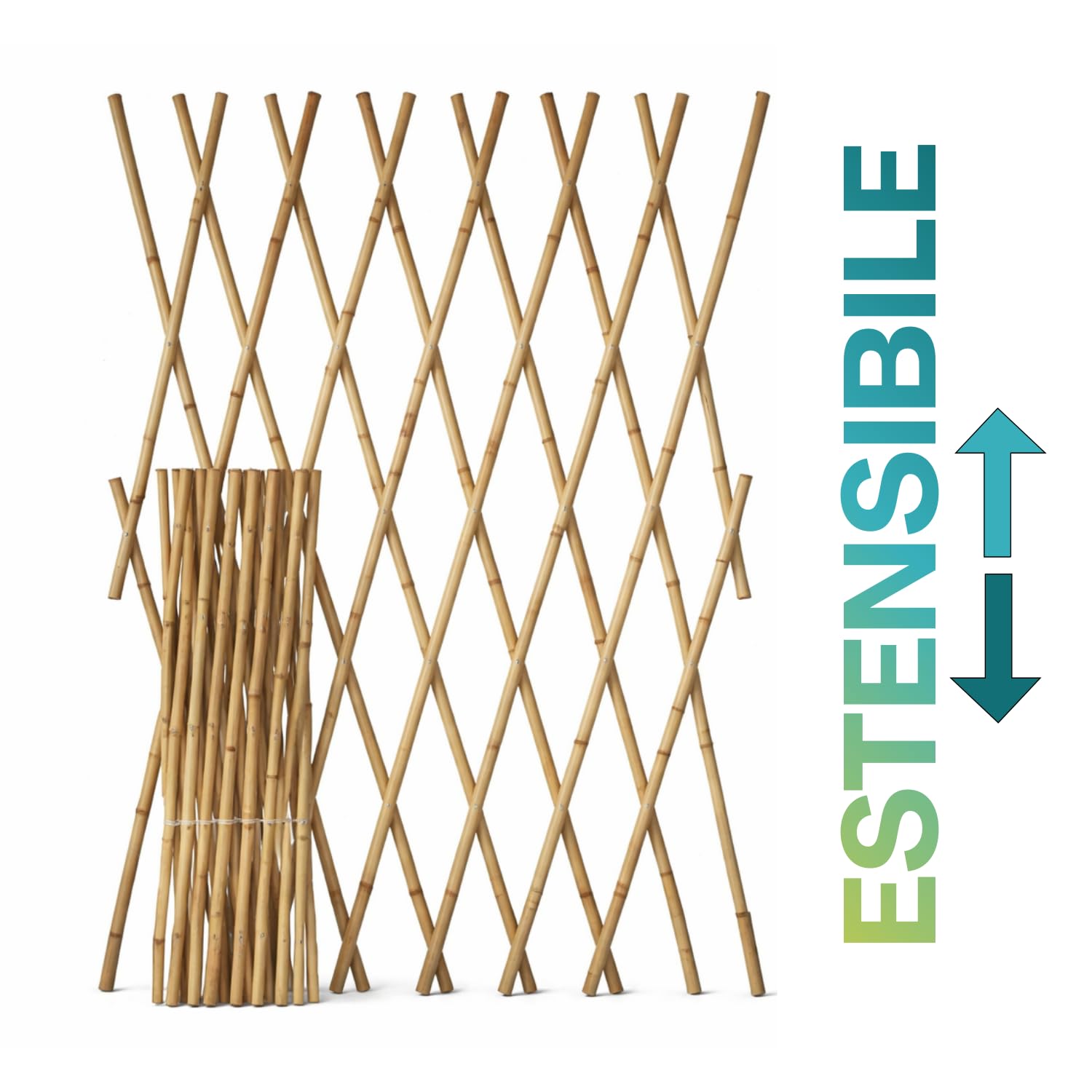 Virsus 1 Traliccio Estensibile in Bamboo Naturale 3966, Diametro 12-14 mm, per Sostegno a Muro di Fiori e pianti rampicanti, per Decorazione Esterni Pannello Recinzione Giardino, terrazzo (180x120 cm)
