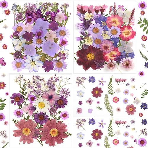 100 piezas de flores secas prensadas naturales para resina, flores secas para accesorios de resina, flores secas para scrapbooking, manualidades de