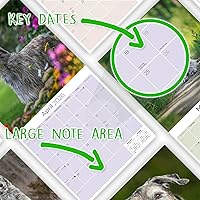 Vista 1082 de Razas de Perros 2017