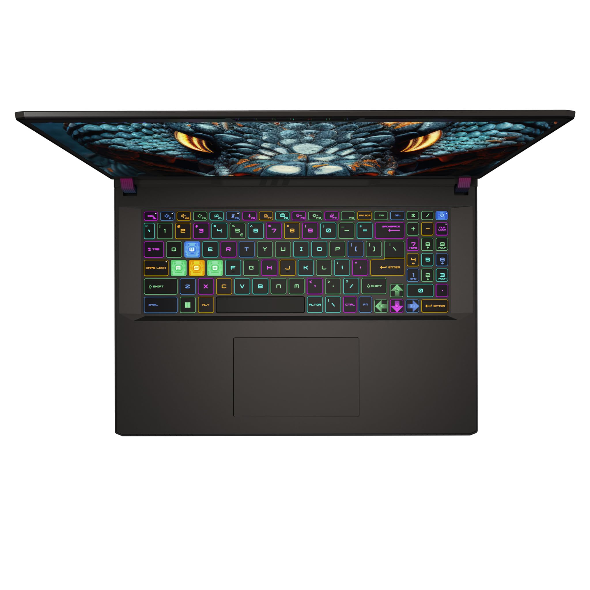 Amazon.com: msi Vector 17 HX Gaming Laptop, Intel i9-14900HX, 32 