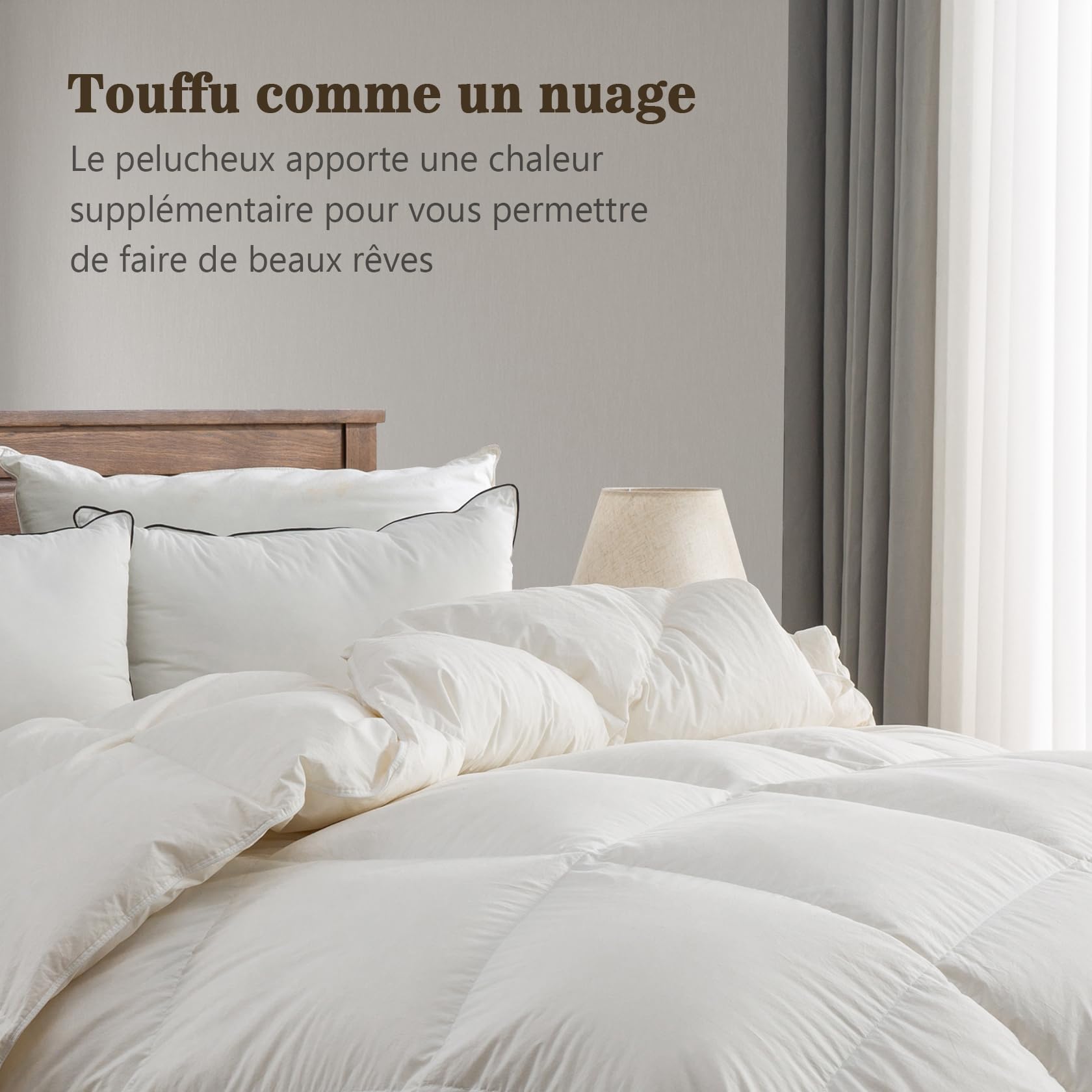BPC Couette en Plumes d'oie et Duvet 200x200 | Couettes pour Hotel de Luxe Naturelle Été | 100% Coton Biologique | Certifiée Oeko-Tex et RDS,2 Personnes