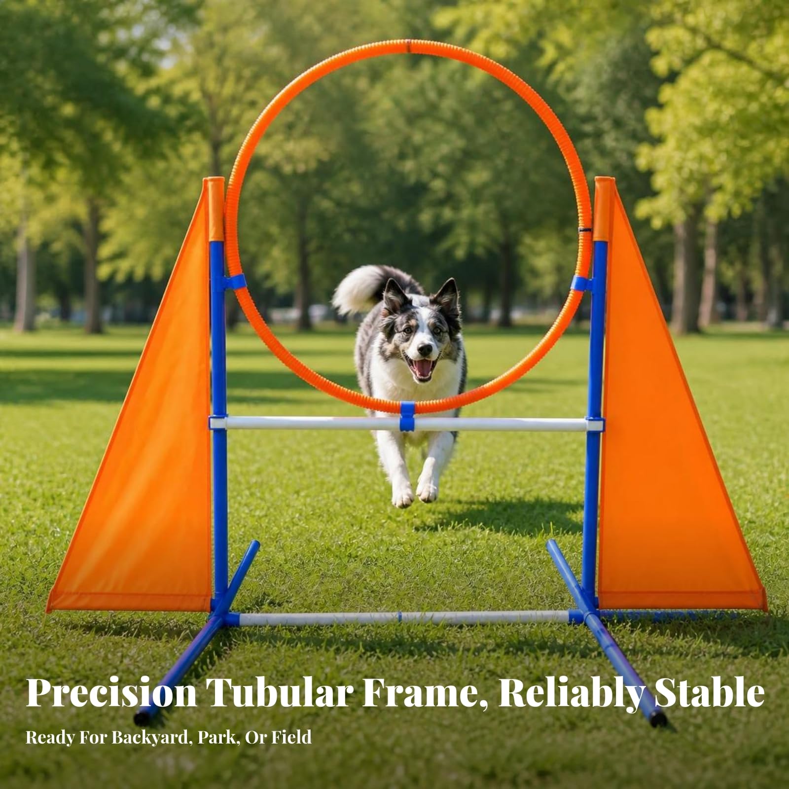Agility Trainingshürde für Hunde mit Rahmen Und Fahnen aus Oxford Und Kunst für Gezieltes Springtraining Im Garten für Den Täglichen Gebrauch