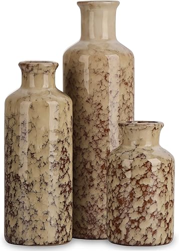 Juego de 3 jarrones de cerámica, moderno jarrón pequeño de cerámica envejecida para decoración del hogar de campo, decoración de sala de estar,