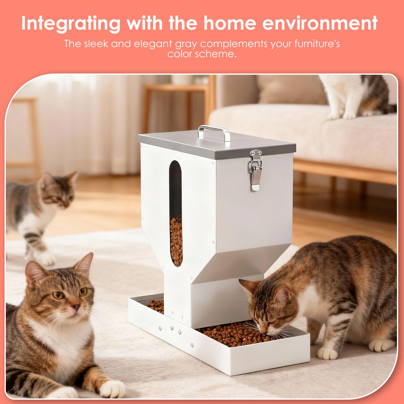 Automatic Cat Feeder 2 Cats - 12L Gravity Dual Cat Feeder Outdoor Pet Feeding Station Auto Dry Food Dispenser for Pet Cat Dogs - image 8
