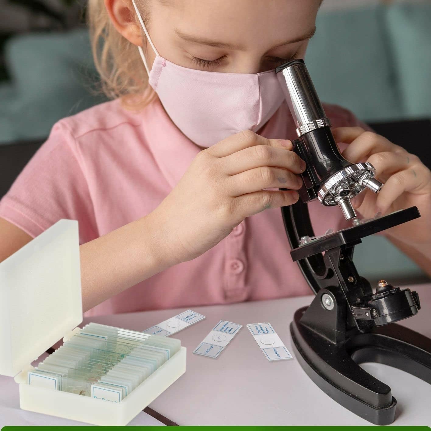 AmScope Juego de Diapositivas para microscopio Preparado PS25P para educación básica en Ciencias biológicas, 25 Diapositivas, Incluye Estuche de plástico Ajustable