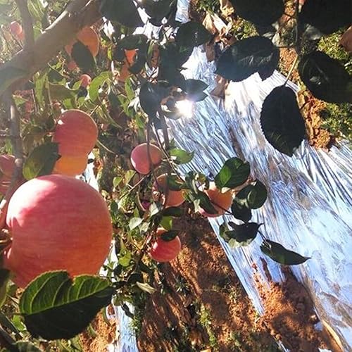 Vista 7 de (R) Rollo de película Mylar altamente reflectante para horticultura para sala de cultivo de 2 mil (4 x 50 pies)