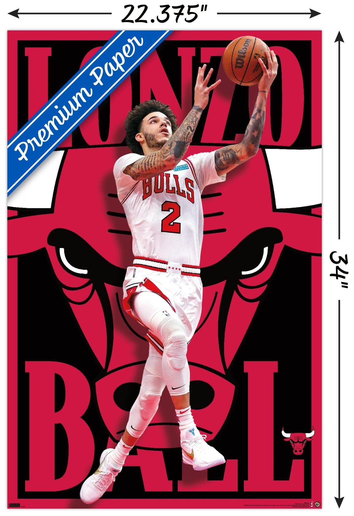 Amazon.co.jp: Trends International NBA シカゴ・ブルズ - ロンゾ