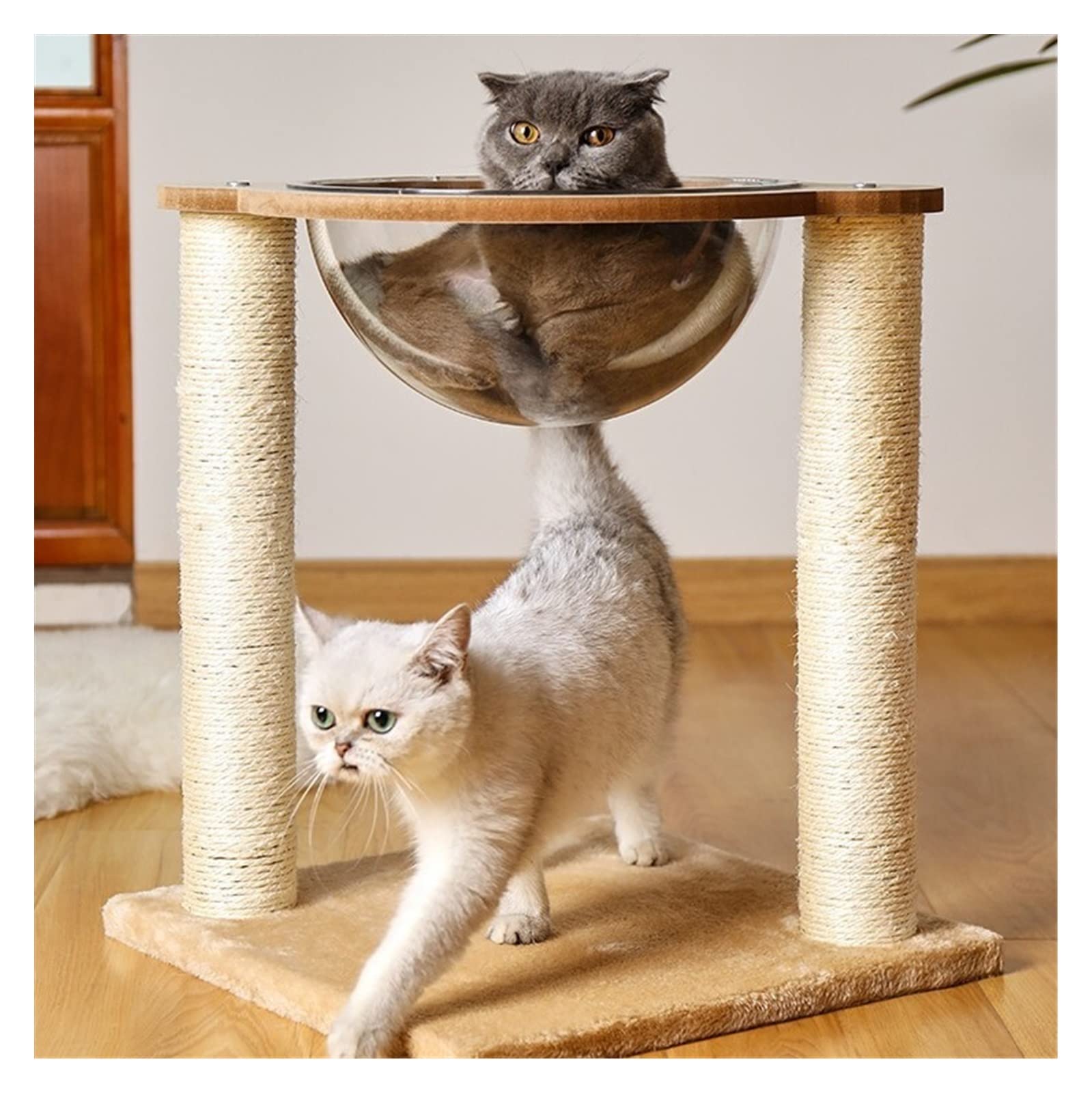 Albero da arrampicata per gatti Cat Climbing Frame Capsula spaziale Lettiera for gatti Tiragraffi for gatti Verticale Un giocattolo for animali domestici multifunzionale Tiragraffi, torre per gatti