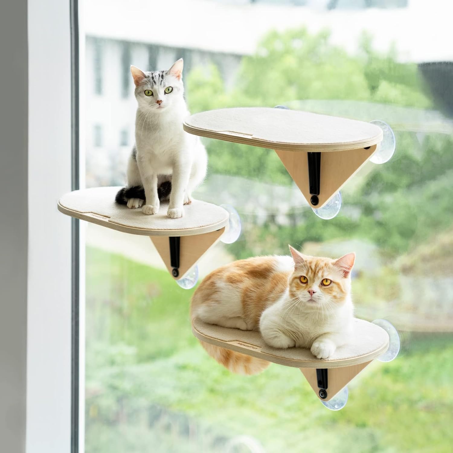 MEWOOFUN Hamac de Perche de fenêtre pour Chat en Bois avec Ventouse Forte - Lit de fenêtre à Plate-Forme pour Chat monté pour Chats d'intérieur, 1 pièce