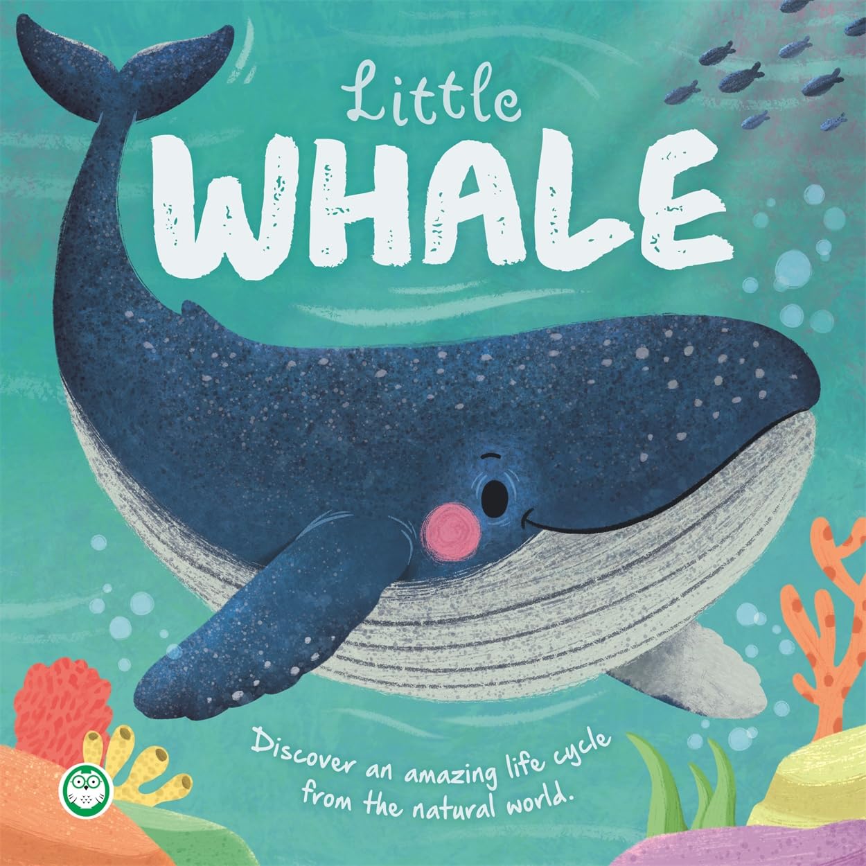Little Whale – Little Nature Stories: An illustrated story about the life cycle of a whale