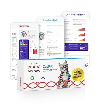 Basepaws | Cat DNA Test | Breed & Health Reports | Wildcat Index | 39 Health Markers | 17 Genetic Diseases | As Seen On Shark Tank