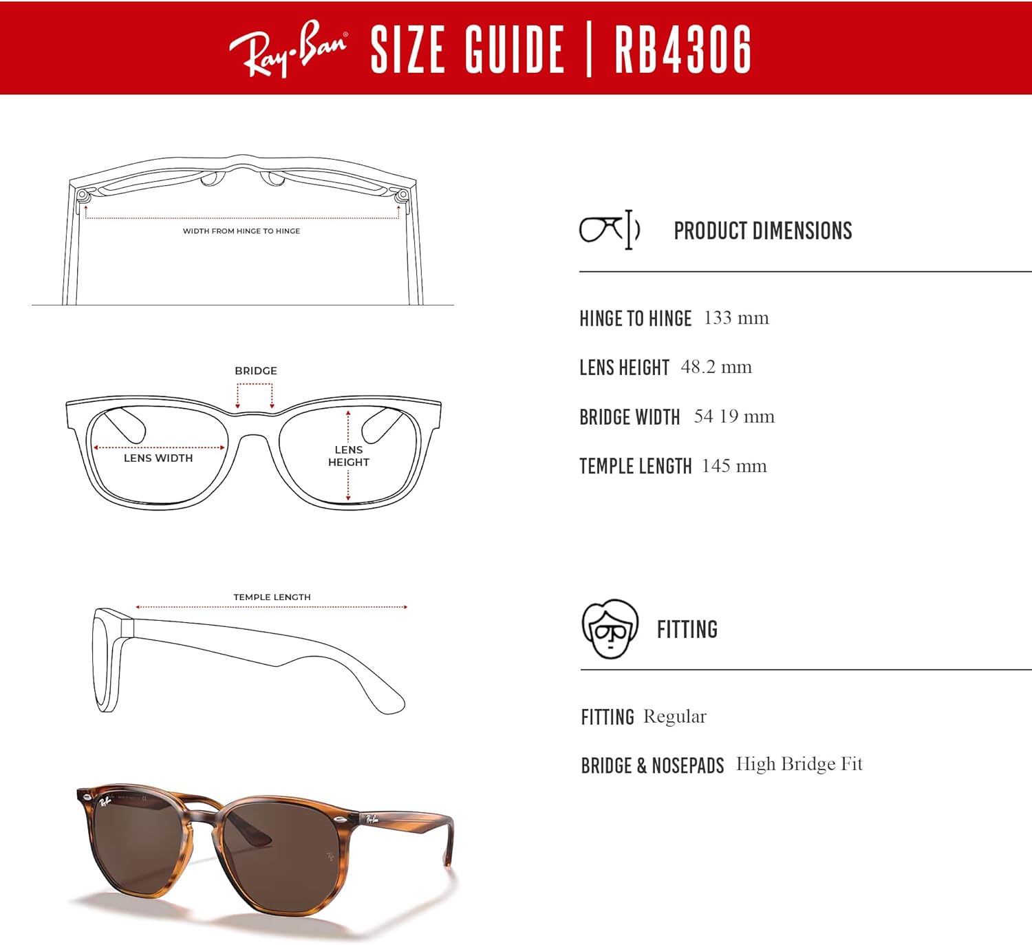 Ray-Ban RB4306 Rounded Sunglasses for Men for Women +BUNDLE with ACCESSORY EYEWEAR KIT