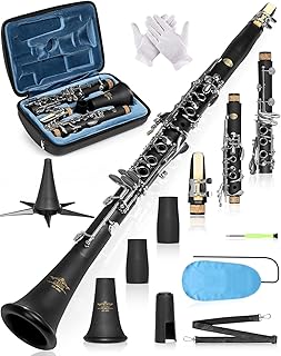 AKLOT B Flat Concert Clarinet: Precision Tone Hole Design for Stable Intonation, Durable Nickel-plated Keys, Including Leather Hard Case, Barrel, Stand, Full Cleaning Kit (Aria-PS)