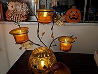 Review Image by Amazon Customer Amazon Customer