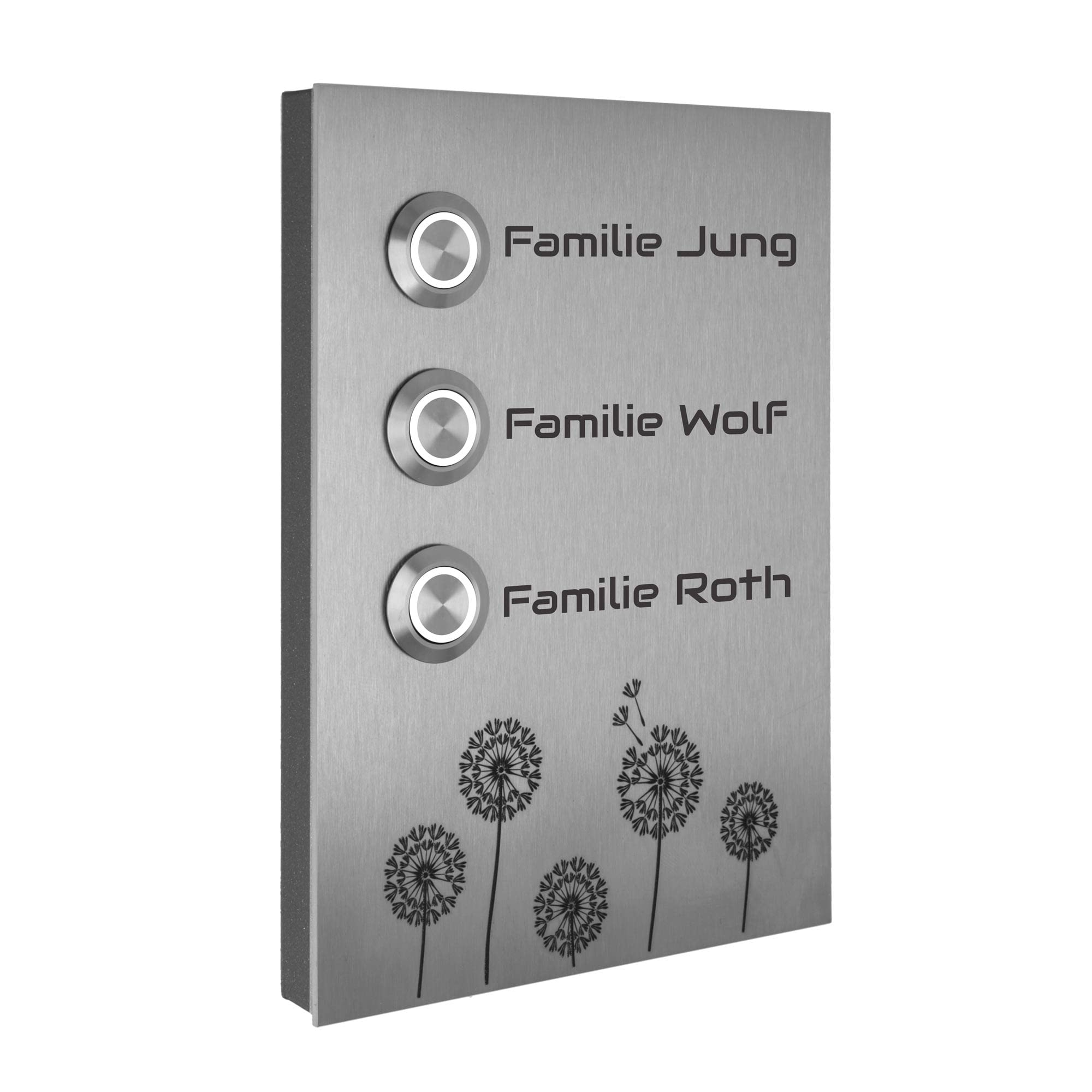 Jung Edelstahl Design Dreifamilienhaus Aufputz Türklingel Kiel1-3AG Motiv Pusteblume Klingelschild 17x12 cm Klingel Mehrfamilienhaus
