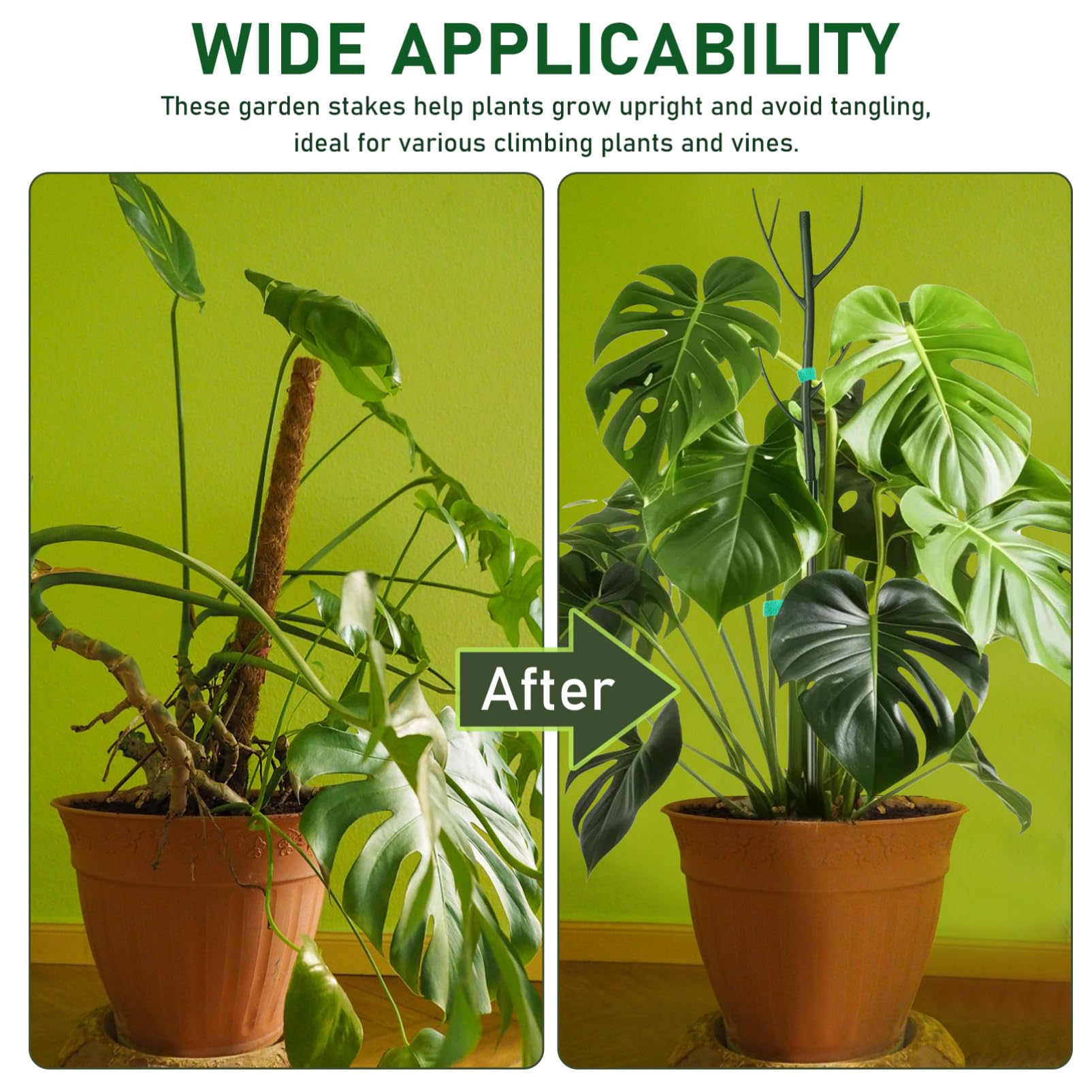 SUPVOX Lot de Tuteurs pour Plantes Monstera, Support de Tige en Plastique, Clips et Liens Torsadés, pour Intérieur et Jardin