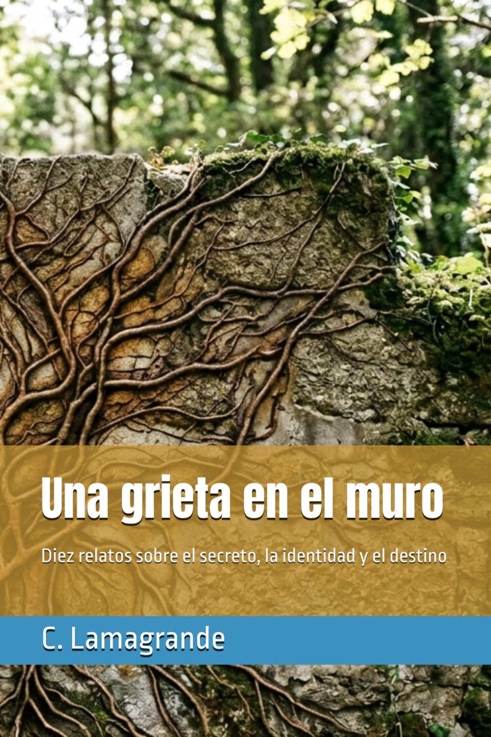 Una grieta en el muro: Diez relatos sobre el secreto, la identidad y el destino