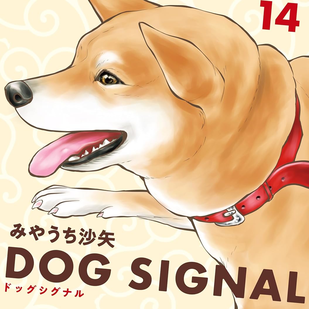 茶太郎(DOG SIGNAL)