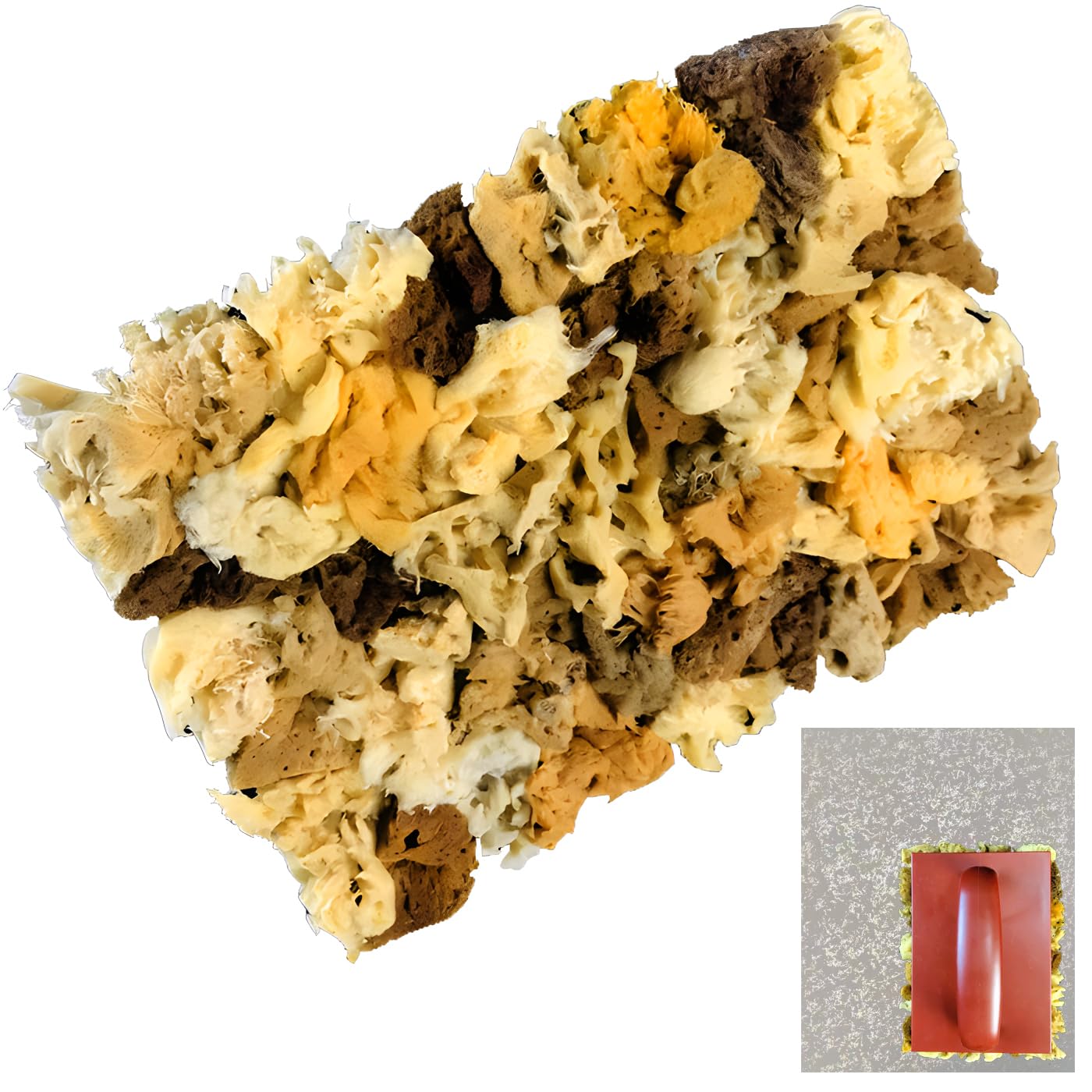 prettyhomeNatural Sea Sponge Stippling Paddles for Wall Texture Painting-Reusable, Exquisite Texture Creation Tool ，Art Paint Fine Small Texture Pattern Tool for Home Wall Painting