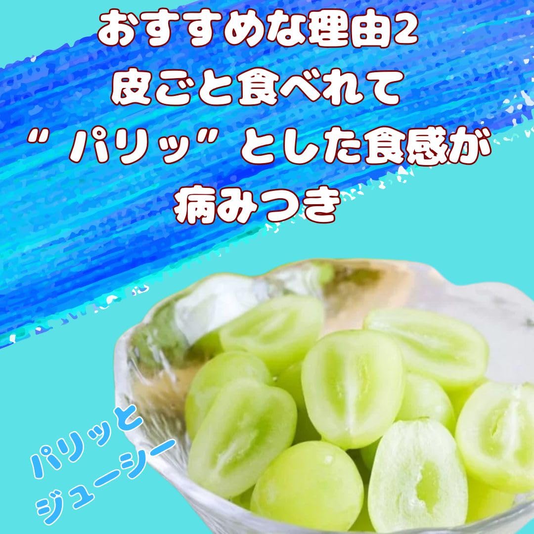 Amazon.co.jp: シャインマスカット 山梨県産 3L×2房 約1.2キロ ぶどう