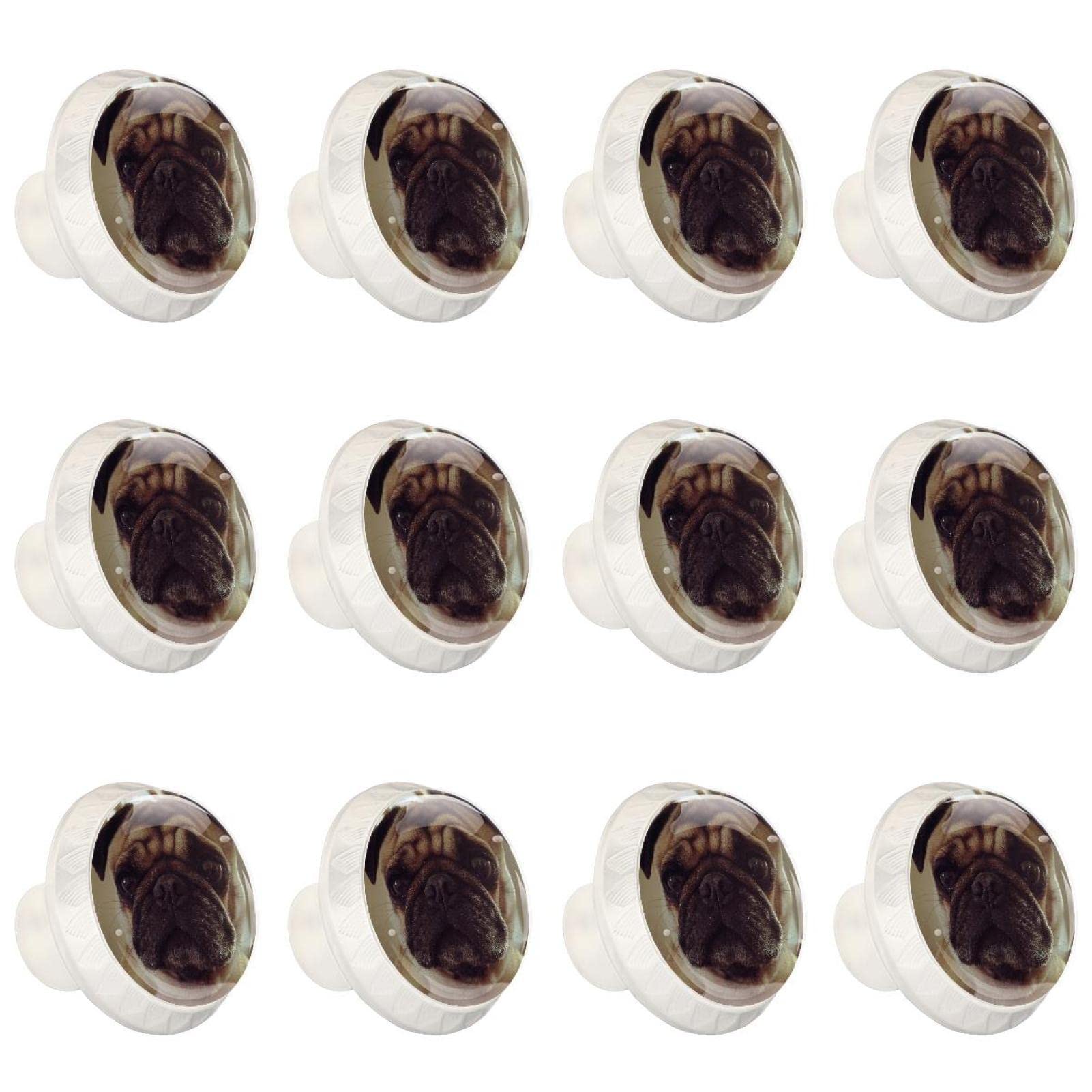 Boutons de tiroir motif carlin en lot de 12 pour placard de cuisine