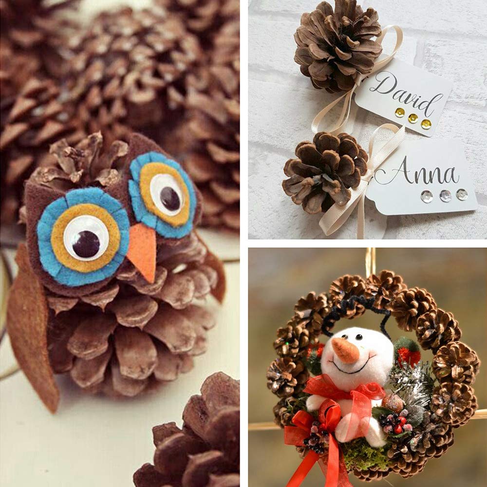 Supla Lot de 30 à Suspendre véritable Préservé Pommes de pin avec Cordes 5,1 - 7,6 cm Hauteur pour décoration de Noël Hiver Noël