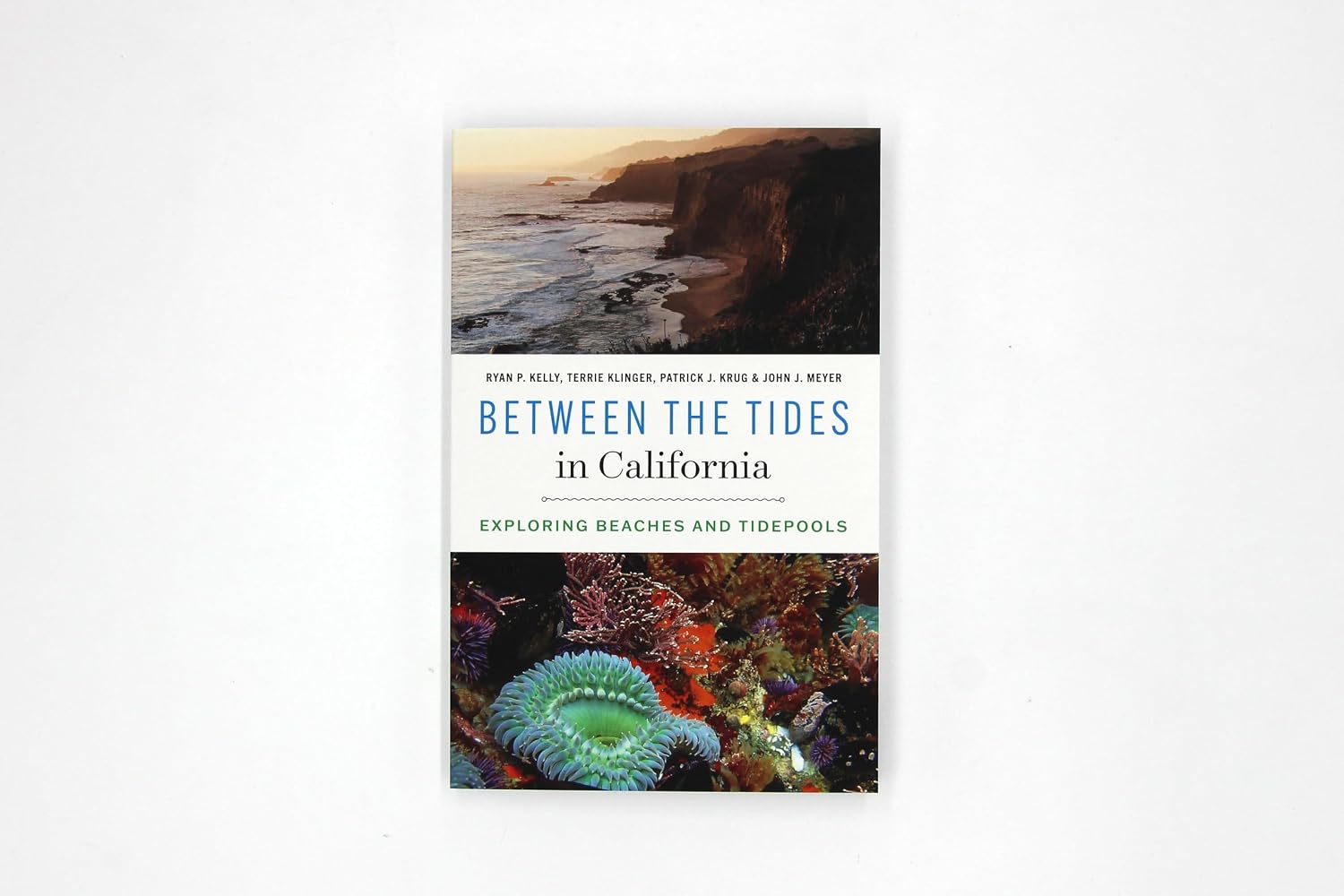 Between the Tides in California: Exploring Beaches and Tidepools