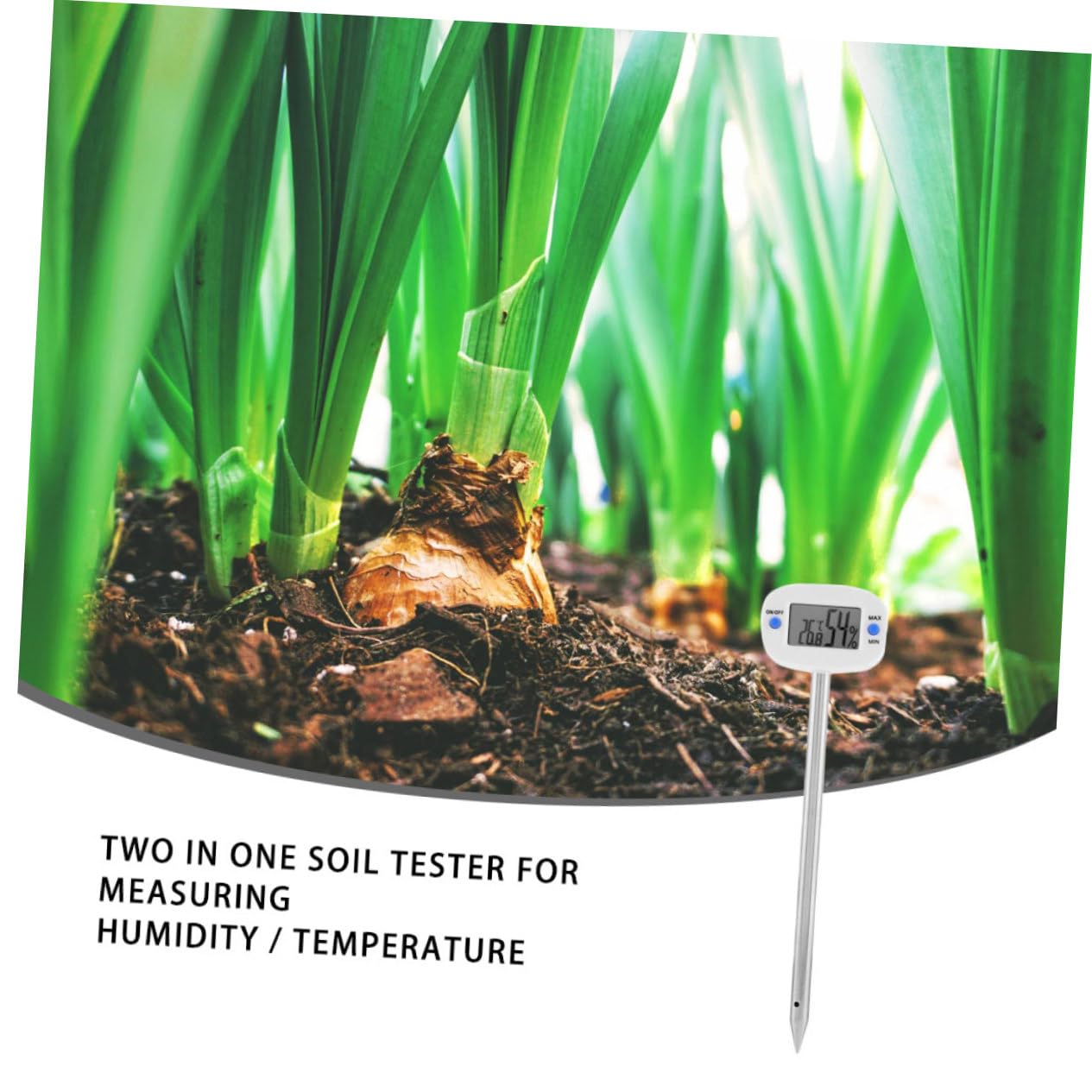 Kisangel 3 Pezzi Tester Temperatura e Umidità Del Mini Ago Misuratore Umidità e Temperatura per Giardinaggio e Coltivazione Strumento per Giardinieri e Appassionati
