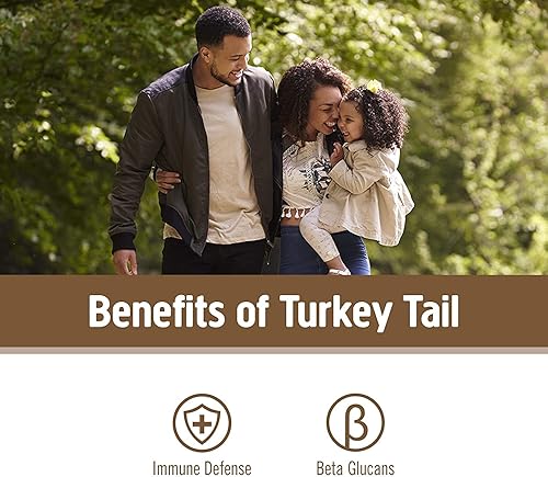 Miniatura 3 de Om Mushroom Superfood Suplemento superalimenticio de cápsulas de hongos de cola de pavo, 90 unidades, 30 días, apoyo inmunológico, polisacáridos,