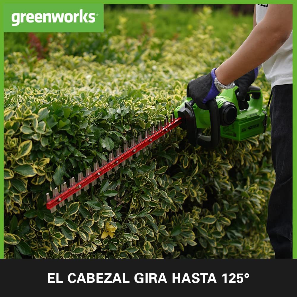 Greenworks G40HT61K2 Cortasetos a Batería, Cuchillas de Doble Acción 61 cm, Corta Ramas y Tallos de Hasta 27 mm Grosor, 3000 spm, Batería (40 V 2 Ah) y Cargador, 3 Años de Garantía