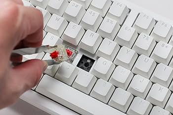 Amazon.com: Ducky Zero 6108 Pure White Hotswap Bluetooth RGB