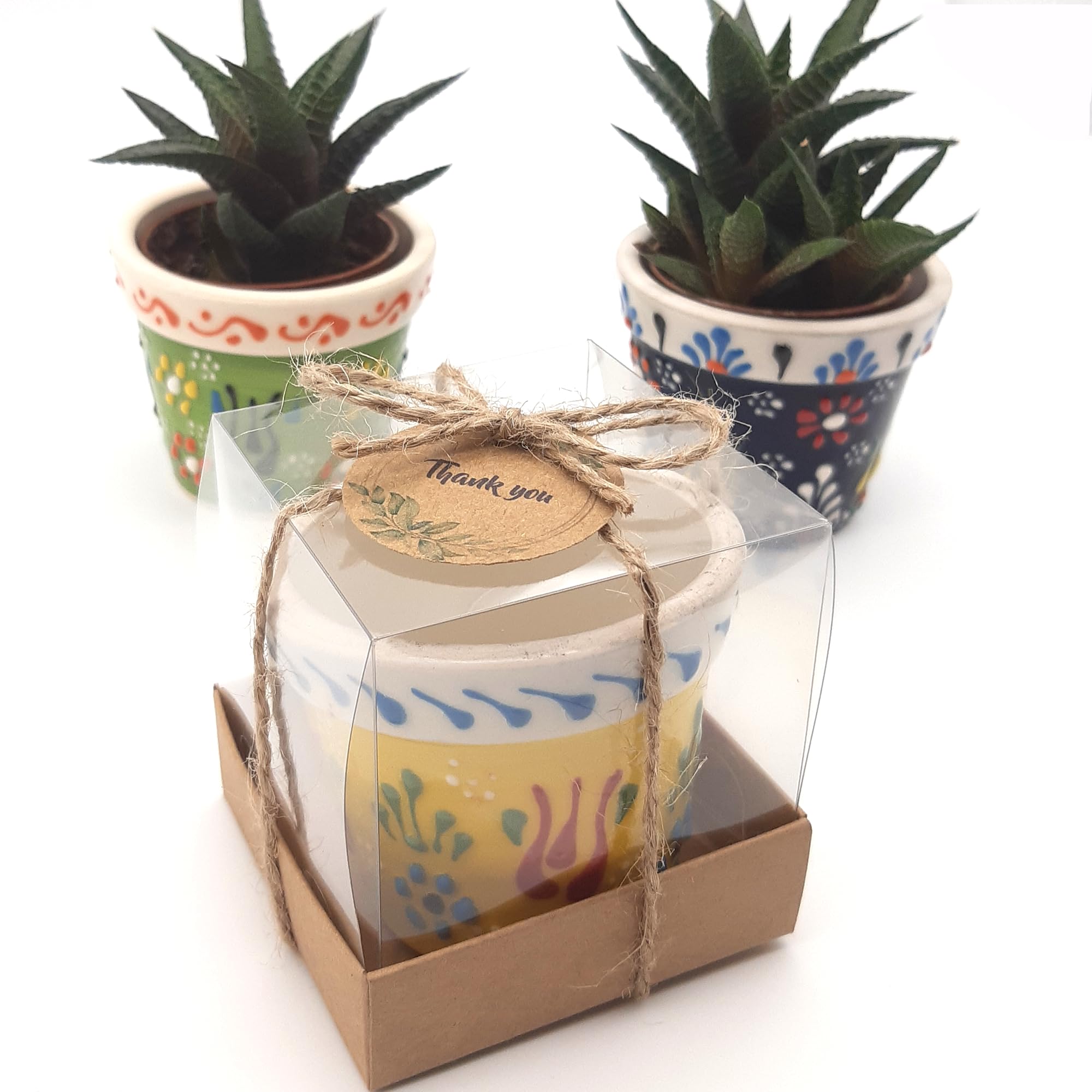 Bomboniere per addio al nubilato per ospiti, vaso in ceramica per piante grasse in scatola, bomboniere per gli ospiti, sfuso, regalo per feste in spiaggia, piante grasse vive non include