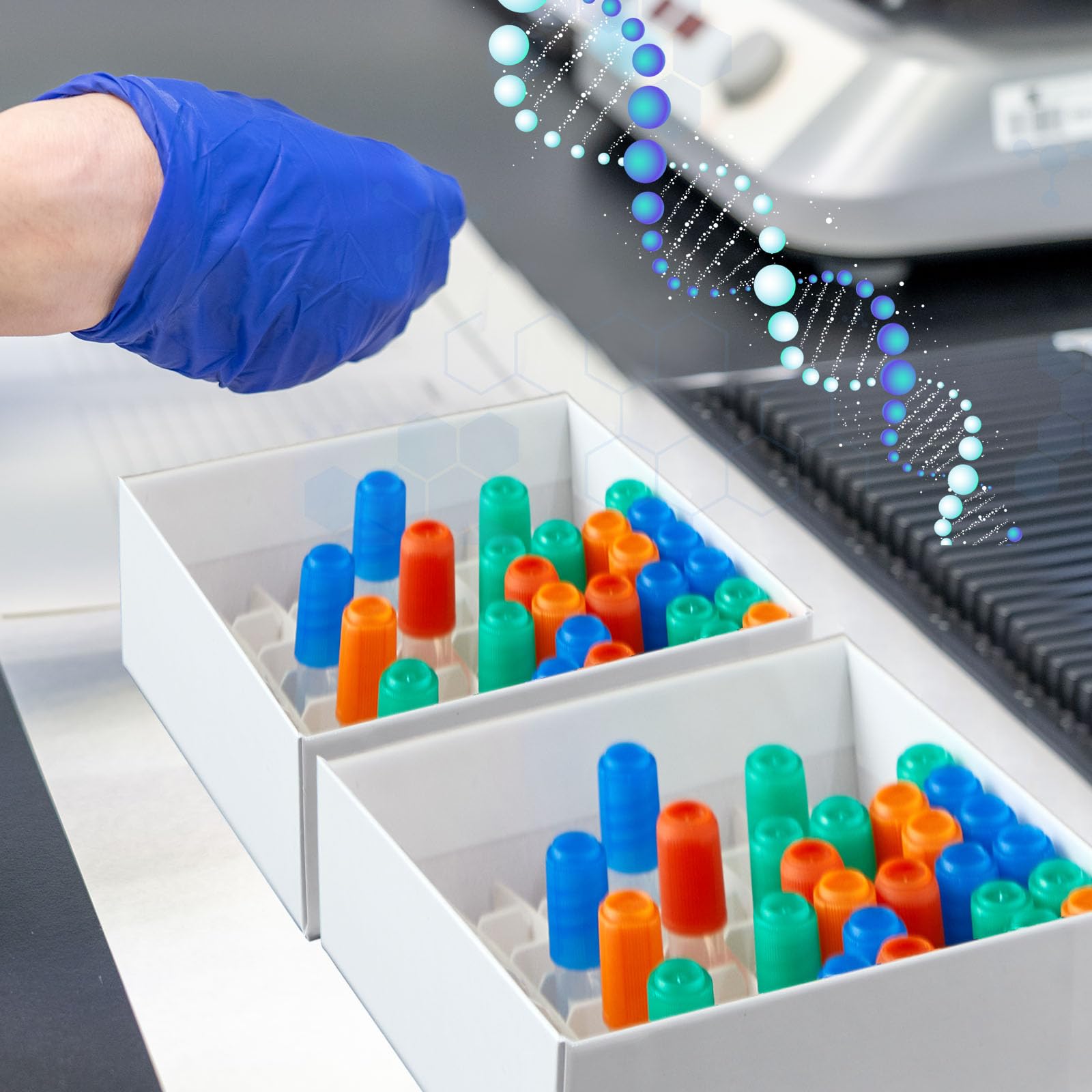 Teenyyou 36 cajas de cartón para congelador con tapa, caja de almacenamiento de microtubos de laboratorio de 81 lugares, revestimiento resistente al agua y al hielo, 5 cm de altura para tubos de