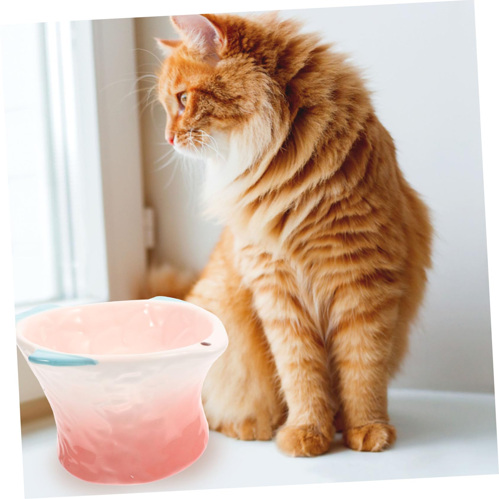 UPKOCH Ciotola per Gatti Rialzata in Materiale Ceramico Rosa Creativa per Cibo e Snack, Facile da Pulire per Gatti e Cani