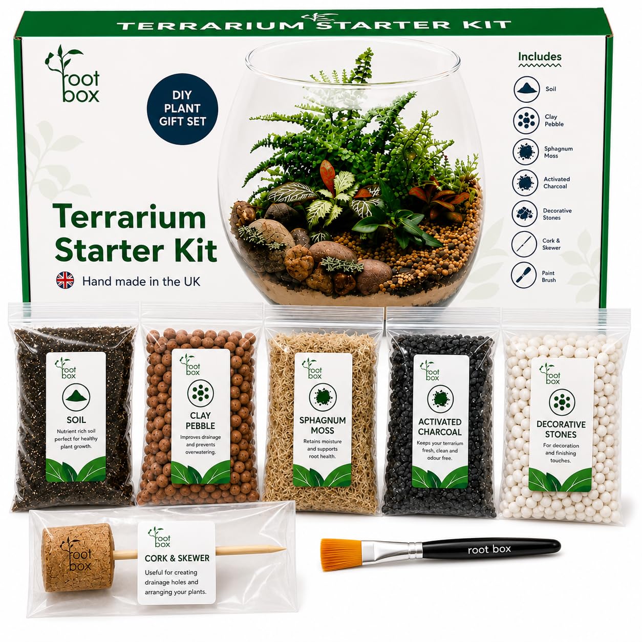 Root box™ Large Plant Terrarium Kit in scented giftbox | Succulents, Bonsai, F