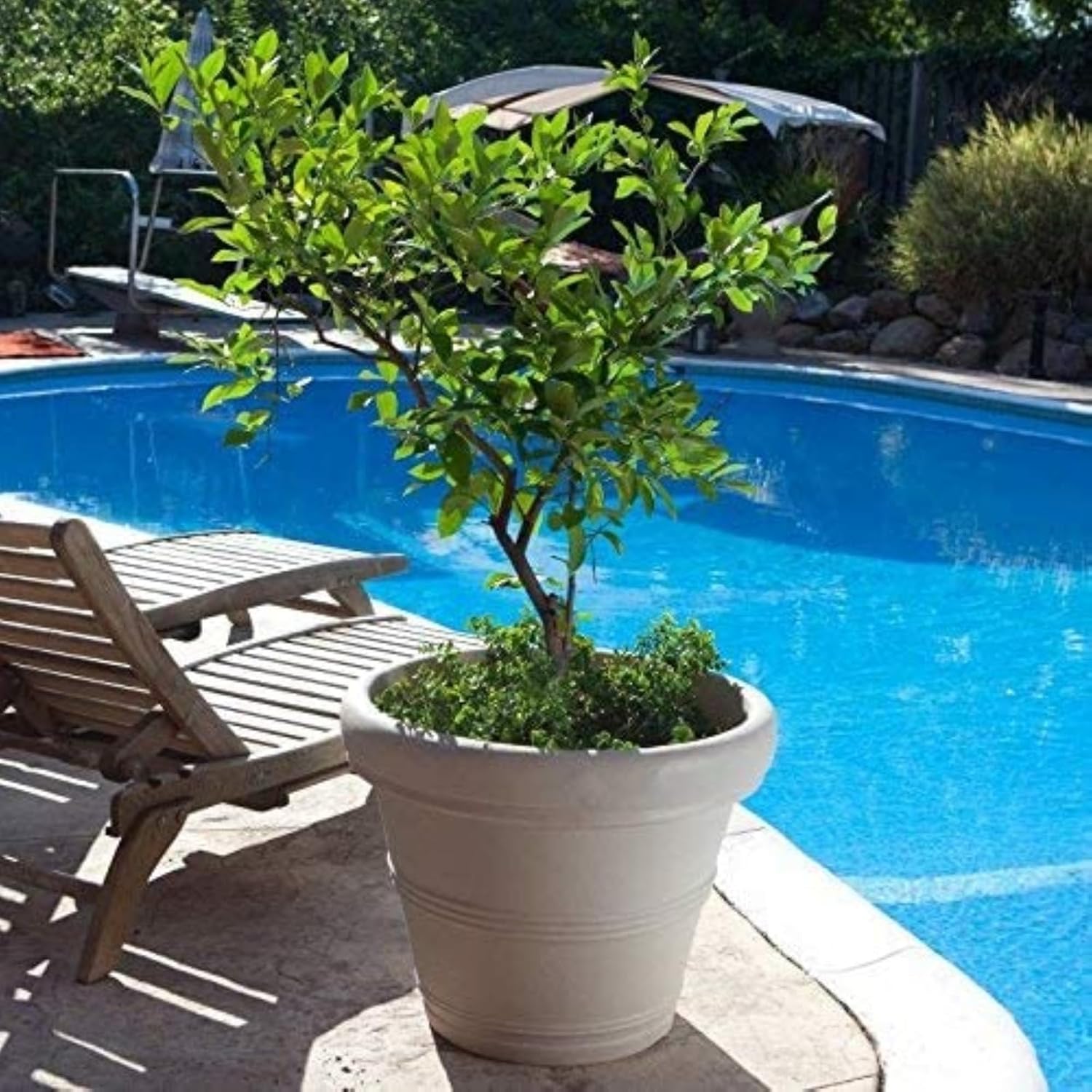 Large Capacity Garden Pots Classic Rolled-Rim Planter for Home Indoor&Outdoor